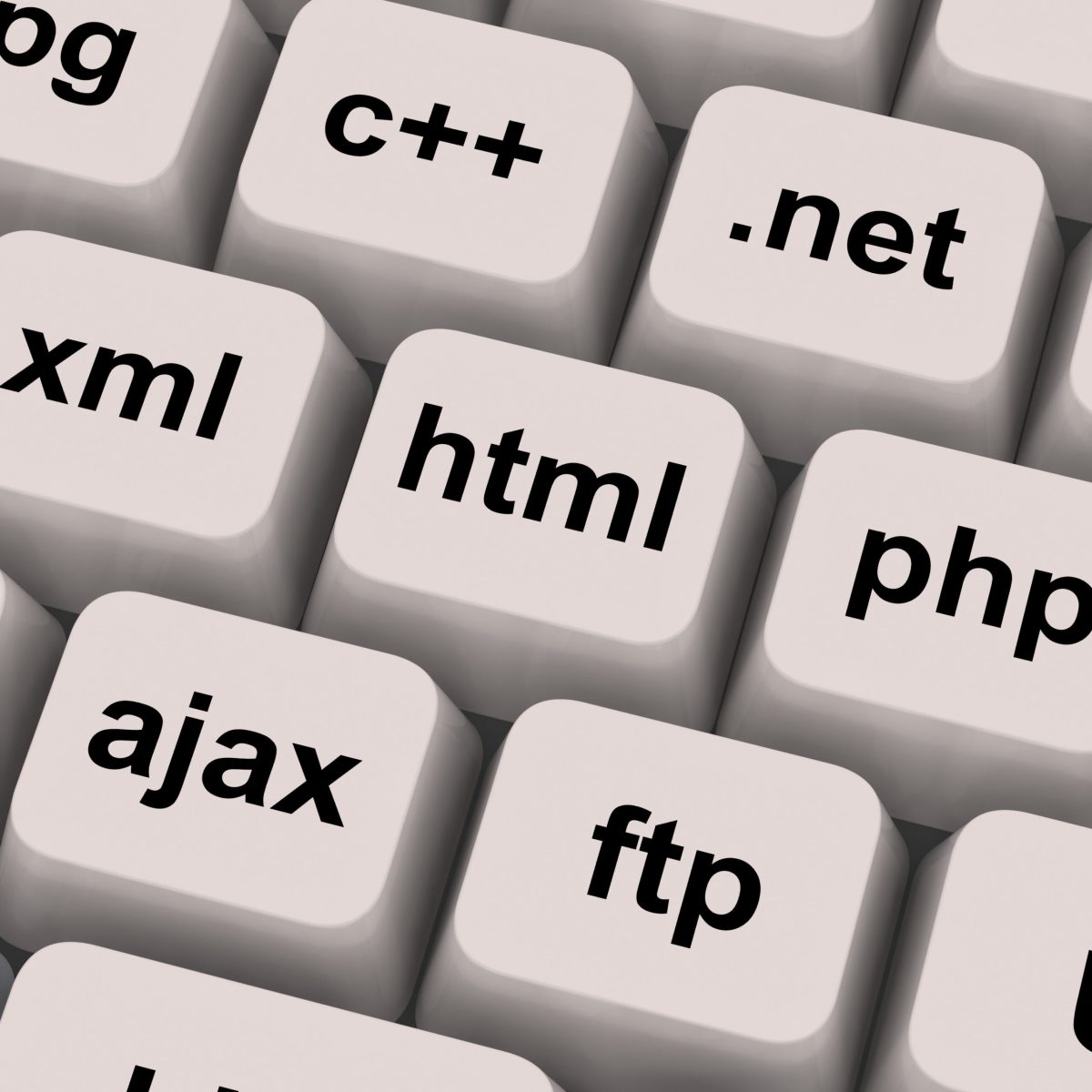 Going RESTful – WordPress Rest API